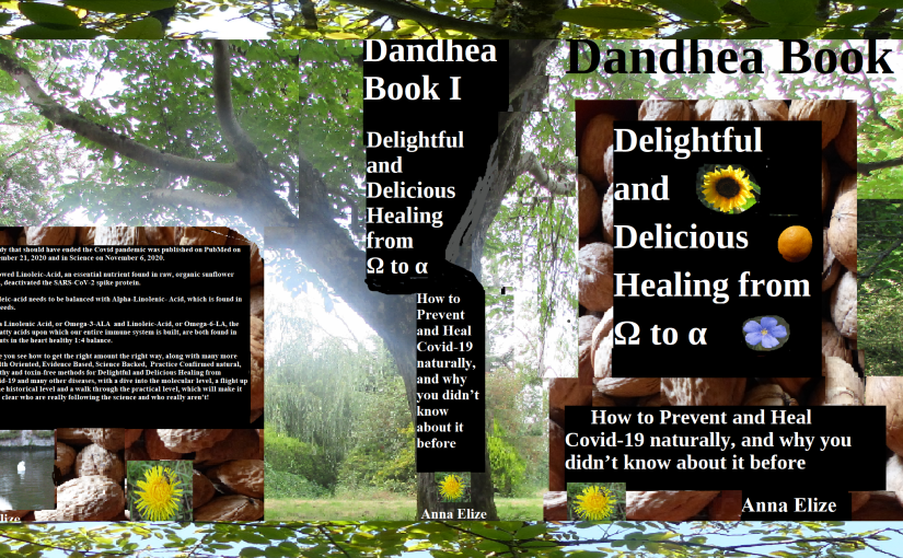 Q&A on Dandhea Book I